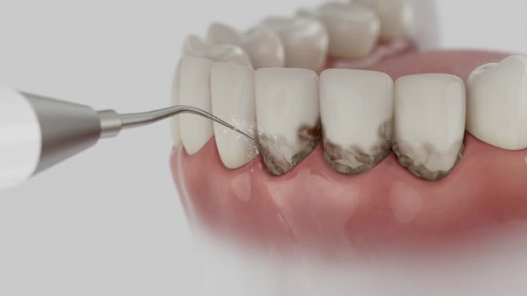 Reliable Dental contractor in Lawrenceville, IL by Dentist Open Now